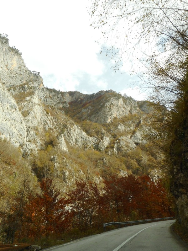 Road along Moraca valley near Podgorica