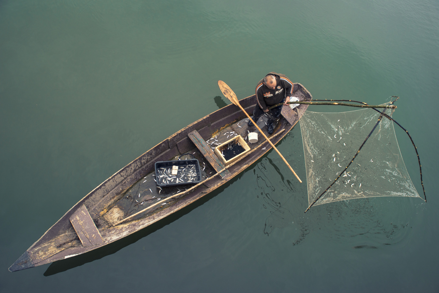Fisherman on Lake Skadar