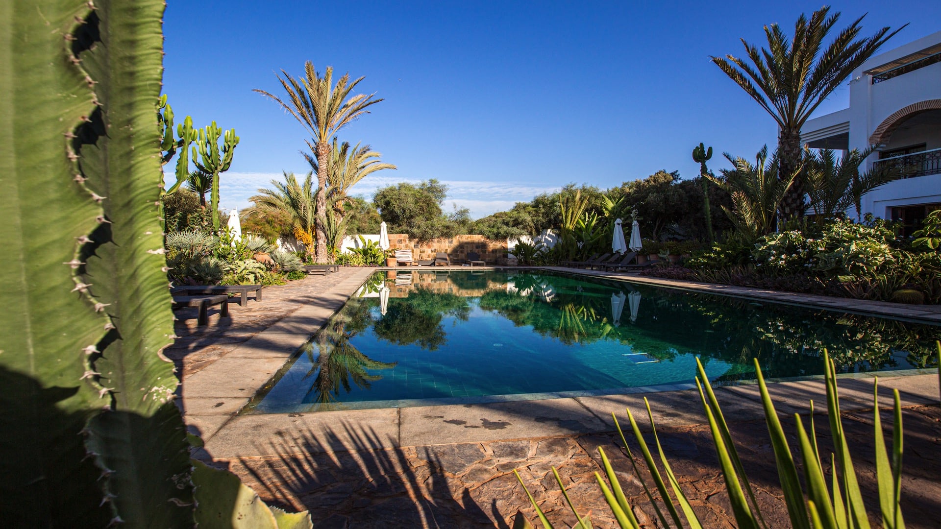 Riad Villa Blanche - pool