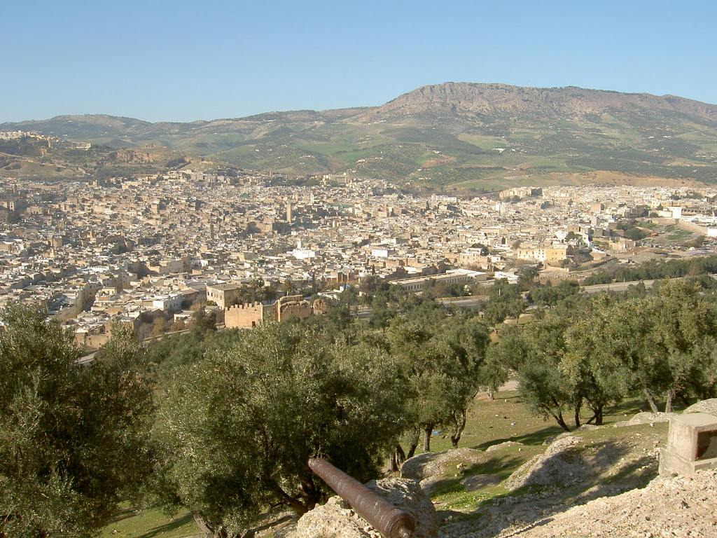View across Fez from Borj du Sud