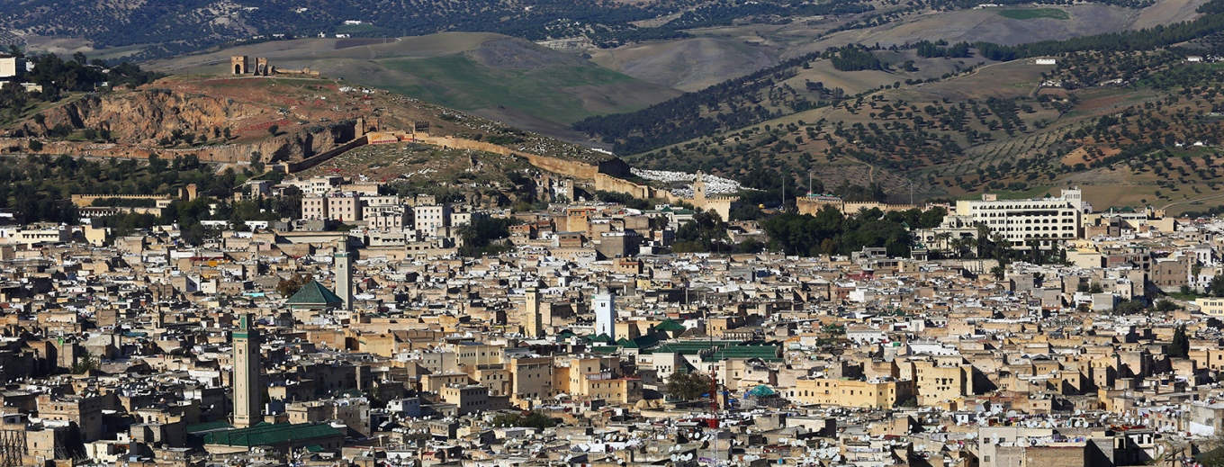 View of Fez medina from Borj Sud