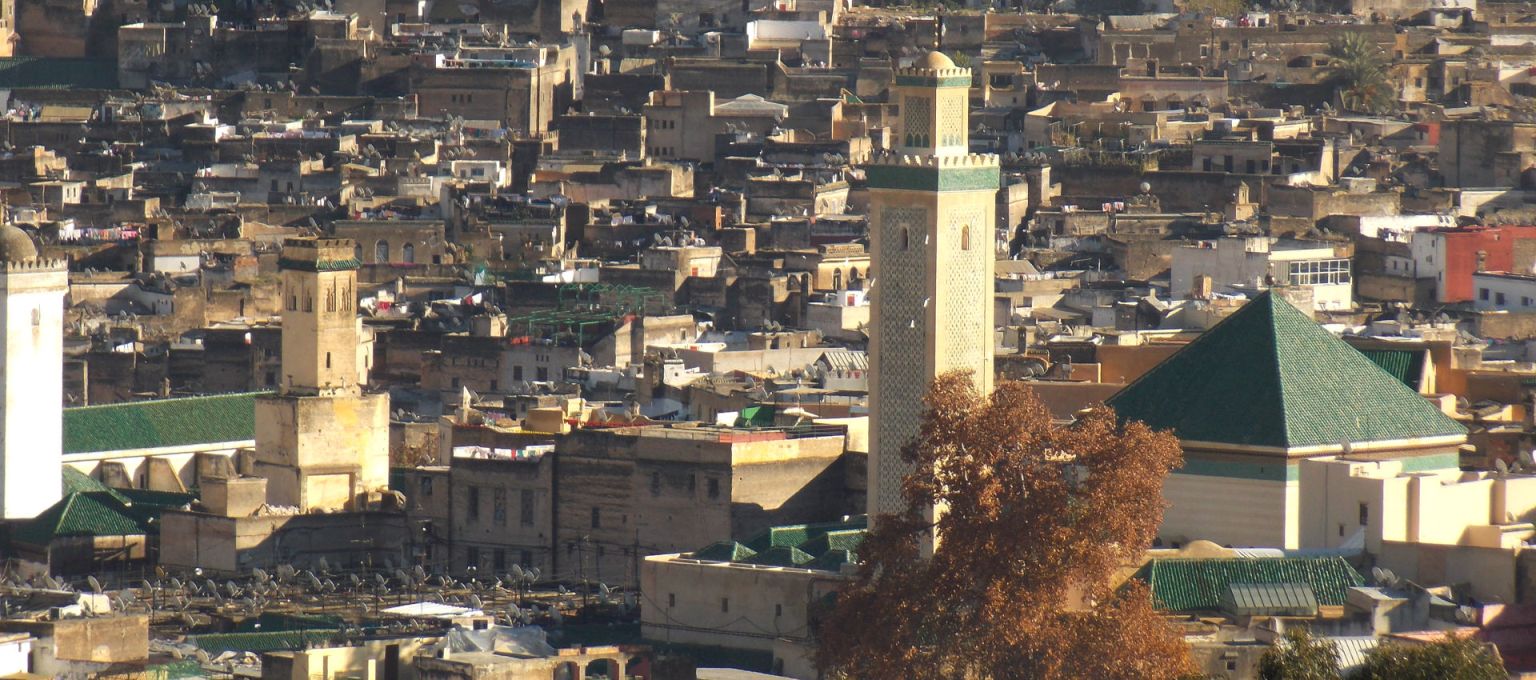 Aerial view of Fez medina