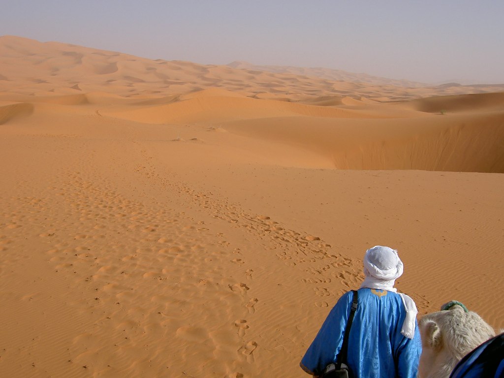Bedouin guide into the desert landscape