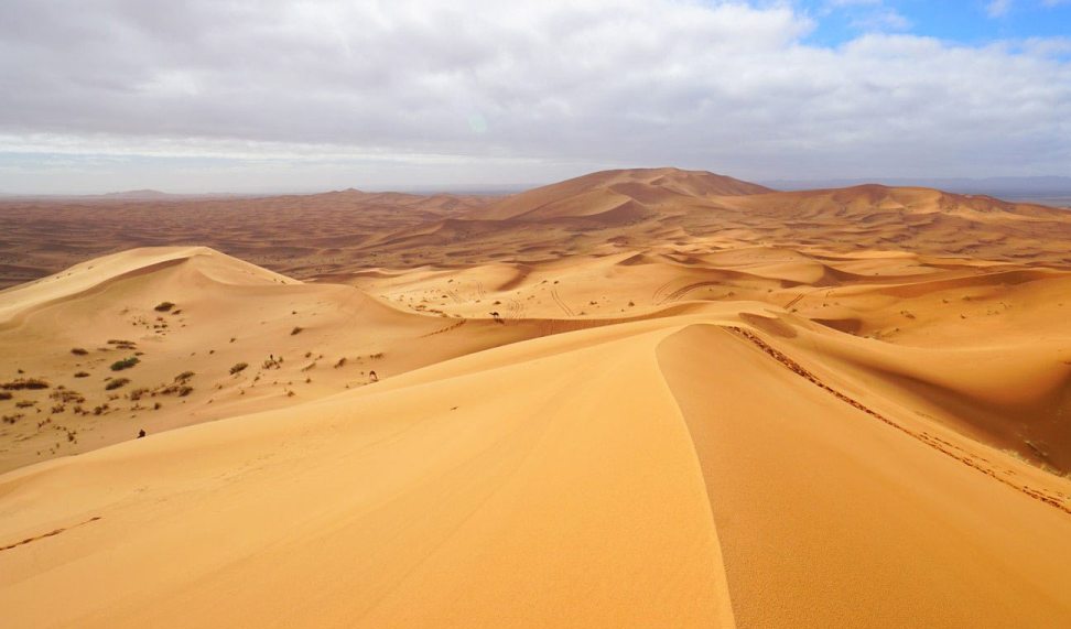 The wide open sea of dunes at Erg Chebbi