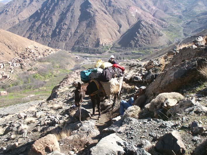 Mule and hikers above Imlil